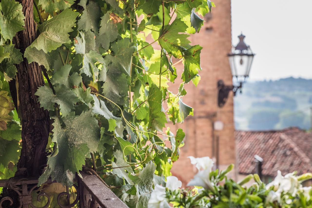 B&B Antico Tralcio Antignano  Extérieur photo