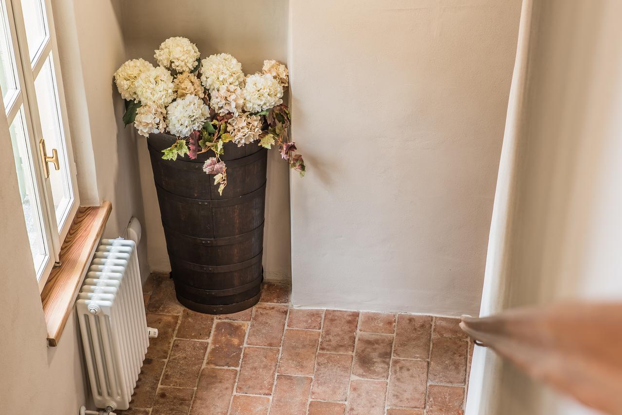 B&B Antico Tralcio Antignano  Extérieur photo