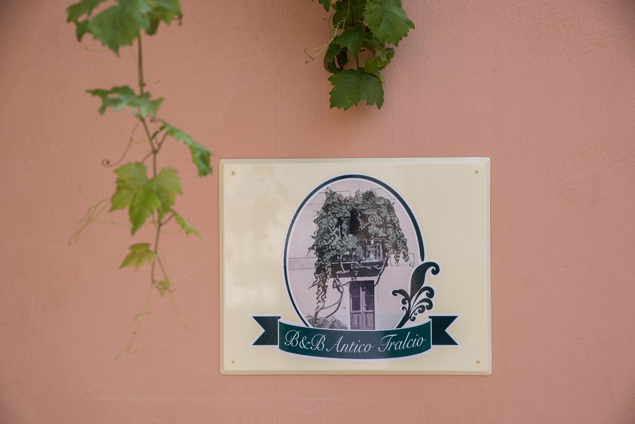 B&B Antico Tralcio Antignano  Extérieur photo
